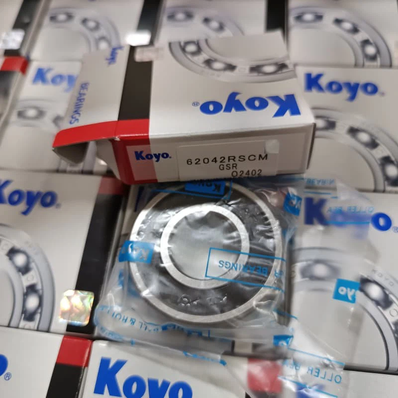 6204-2RS Ball Bearing (1)