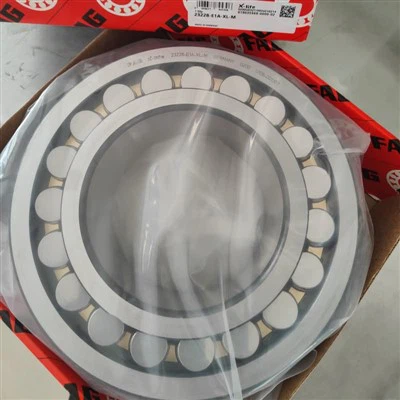 Çift-sıralı Pirinç Kafesli Oynak Makaralı Rulman